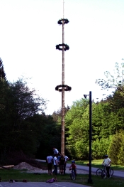 maibaum001_b175.jpg