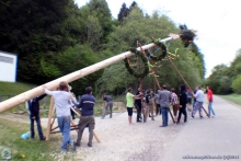 maibaum2011_2.jpg